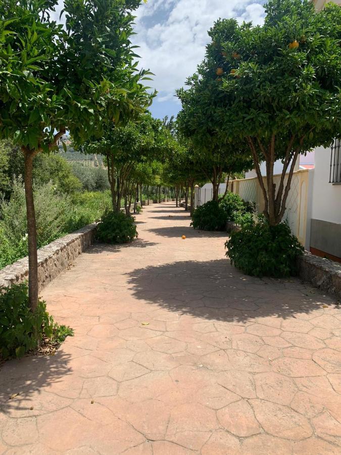 Apartamento En Cuevas Del Becerro Ngoại thất bức ảnh